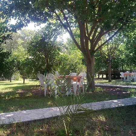 Engin Lodge Cirali