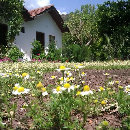 Engin Lodge *