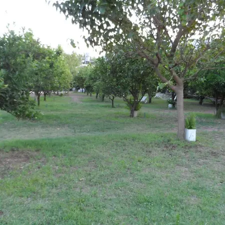 Engin Lodge *