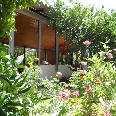 Lodge Engin